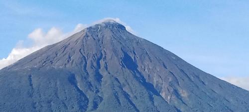 IMG_20230606_085131_528
